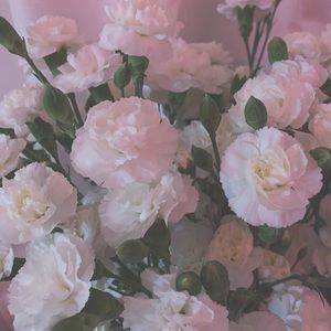 Get to know your posher, Mabel.